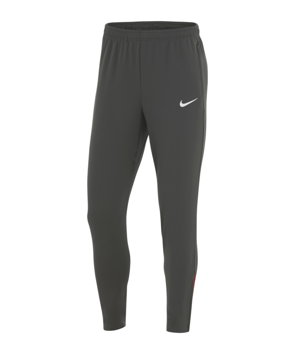 Nike Türkei Strike Trainingshose EM 2024 Grau - grau