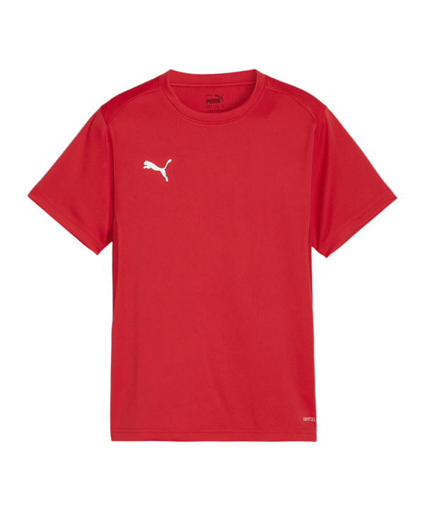 PUMA teamGOAL Trikot Kids Rot F01