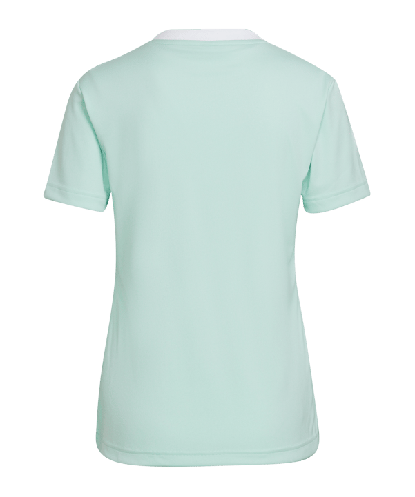 adidas Entrada 22 Trikot Damen Türkis Weiss - tuerkis