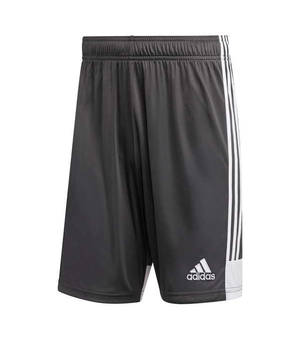 adidas Tastigo 19 Short Grau Weiss - grau