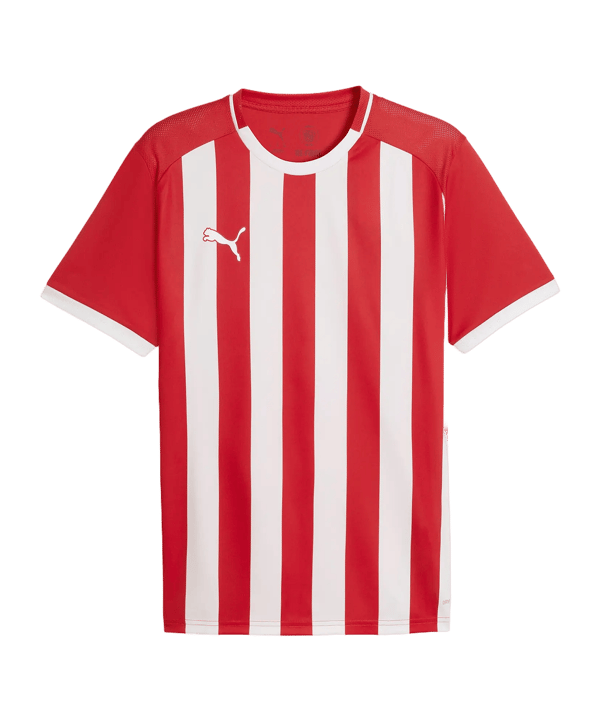 PUMA teamLIGA26 Striped Trikot Rot F01 