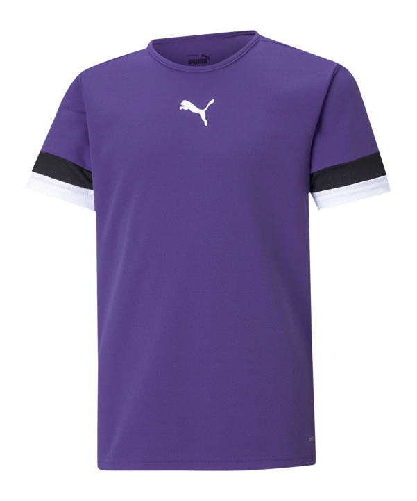 PUMA teamRISE Trikot Kids Lila F10