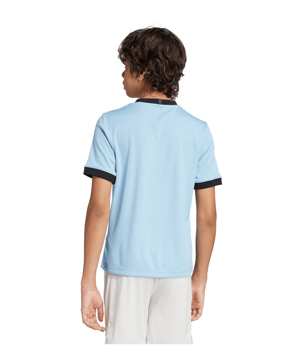 adidas DFB Deutschland 125th Anniversary Torwarttrikot Kids Blau - blau