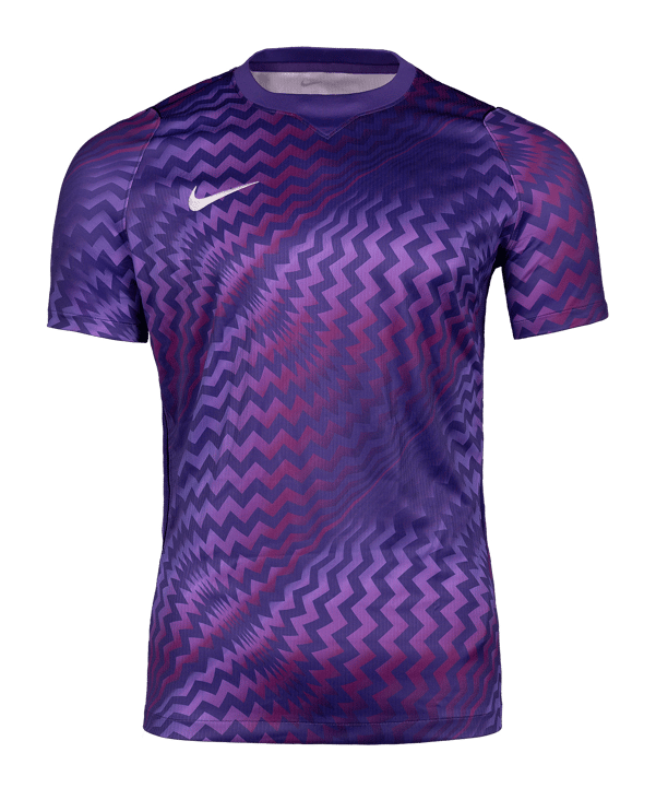 Nike Gardien VI Torwarttrikot Kids Lila F507 