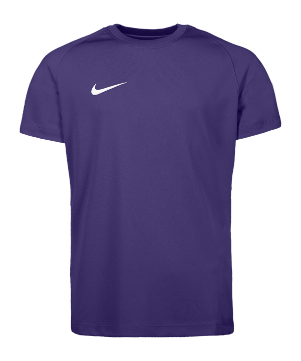 Nike Park VIII Trikot Kids Lila F547 