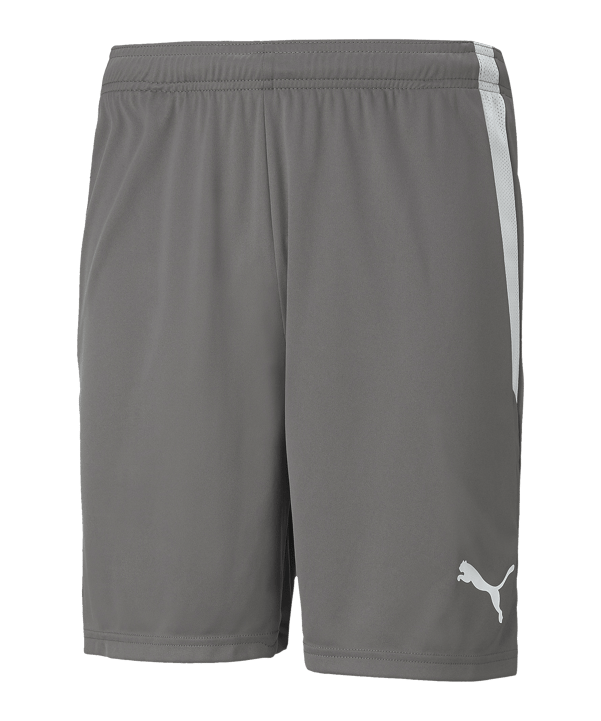PUMA teamLIGA Short Grau Weiss F13