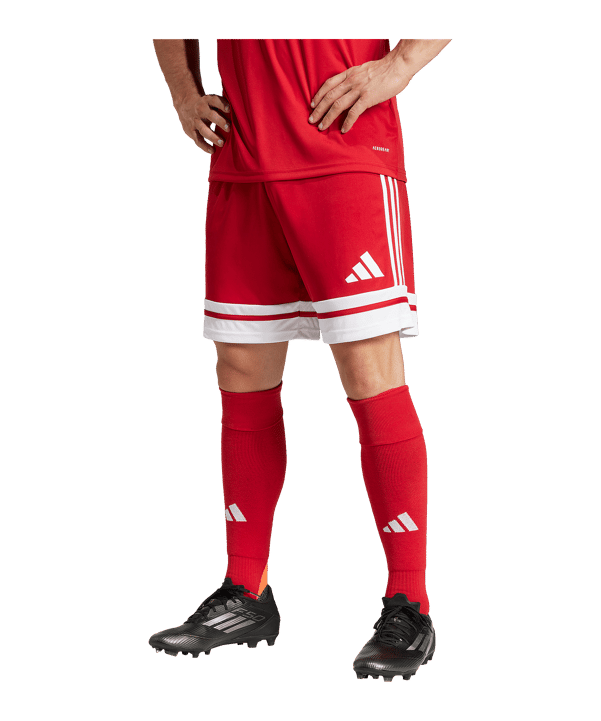 adidas Squadra 25 Short Rot - rot