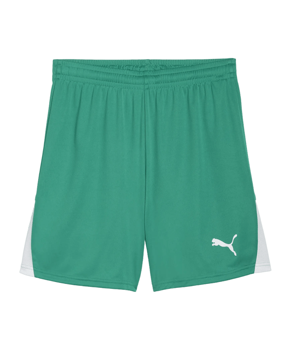 PUMA teamLIGA26 Short Grün F05 