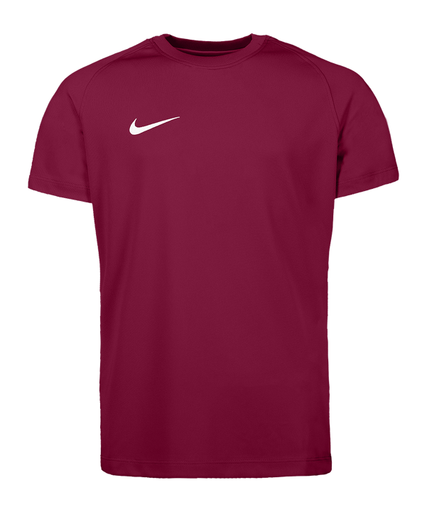 Nike Park VIII Trikot Kids Rot F677 
