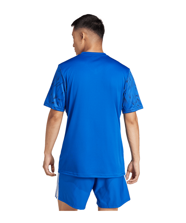 adidas Team Icon 25 Trikot Hellblau - blau