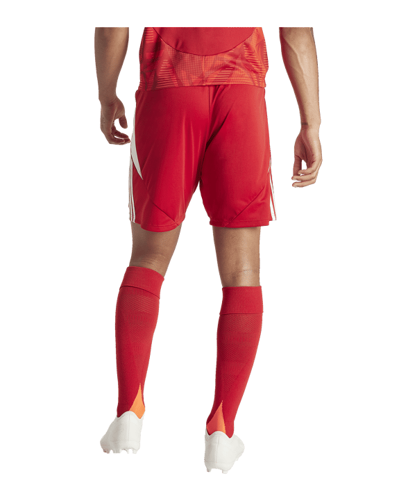 adidas Tiro 24 Short Rot Weiss - rot