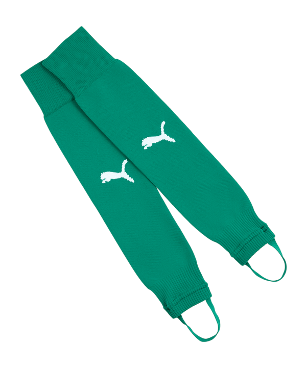 PUMA TeamLIGA26 Stegstutzen Grün F05 