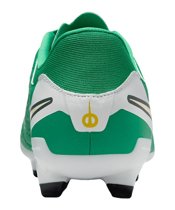 Nike Legend 10 Academy FG Grün F300 - gruen