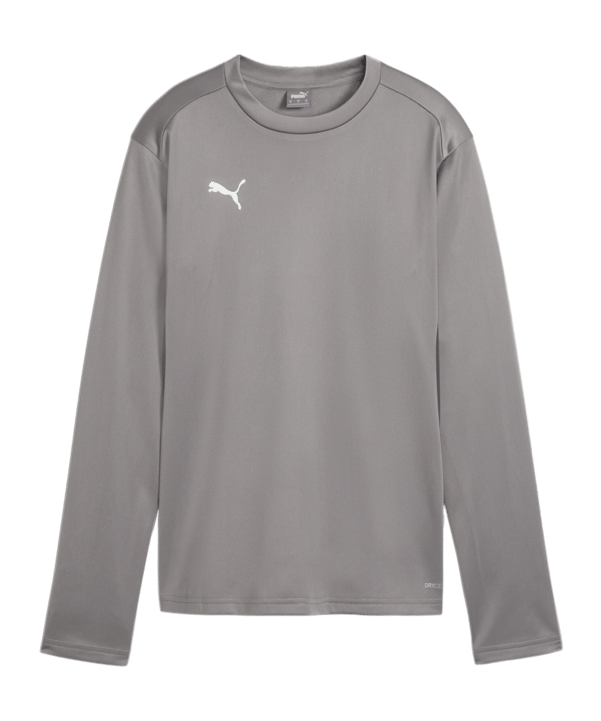 PUMA teamGOAL Training Sweatshirt Damen Grau F13