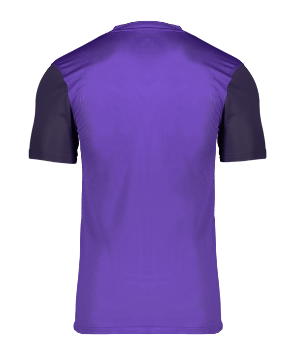 Nike Dri-FIT Trophy 5 Trikot Lila F547 - lila