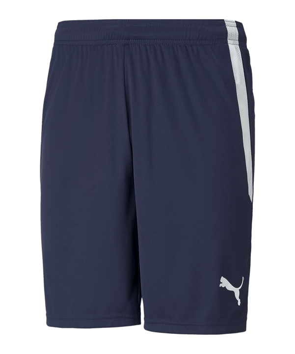 PUMA teamLIGA Short Blau Weiss F06