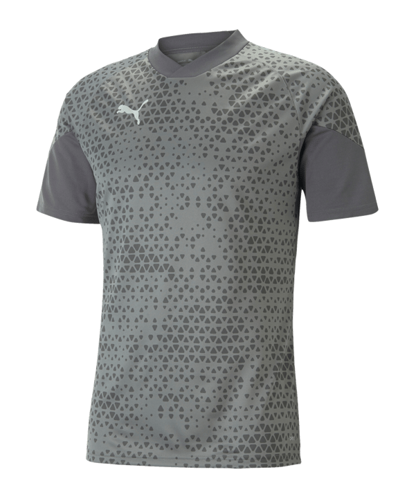 PUMA teamCUP Trainingsshirt Grau F13