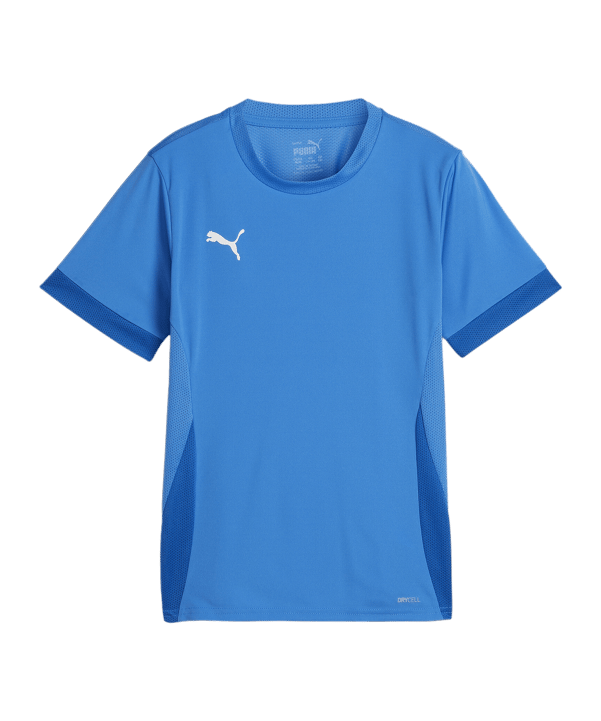 PUMA teamGOAL Matchday Trikot Kids Blau Weiss F02