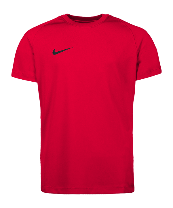 Nike Park VIII Trikot Kids Rot F635 
