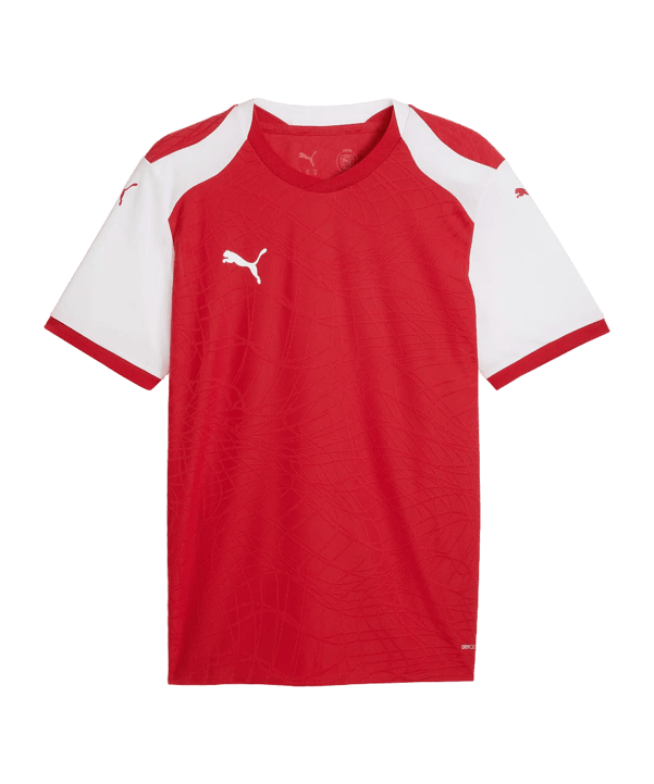 PUMA teamFINAL26 Knit Trikot Rot F01 