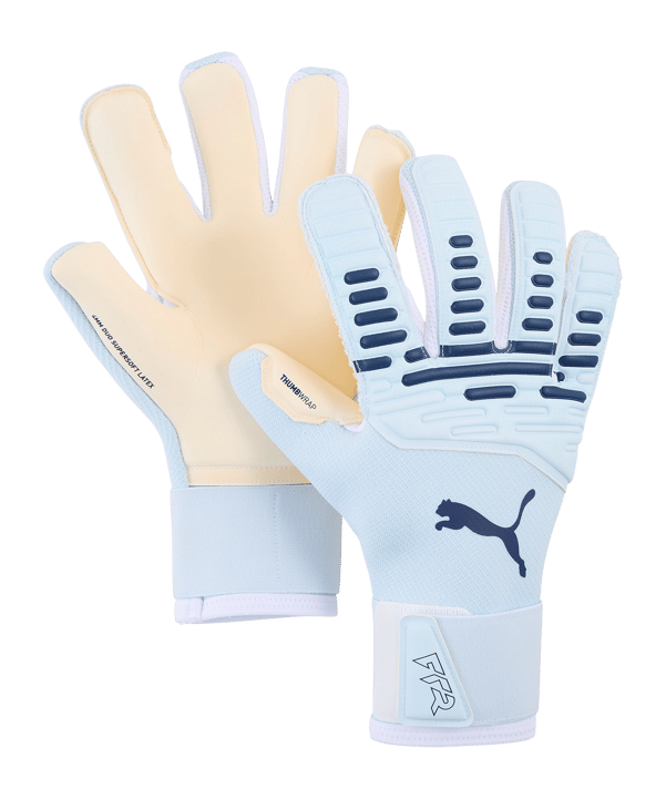 PUMA Future Pro Hybrid Torwarthandschuhe Blau F02 
