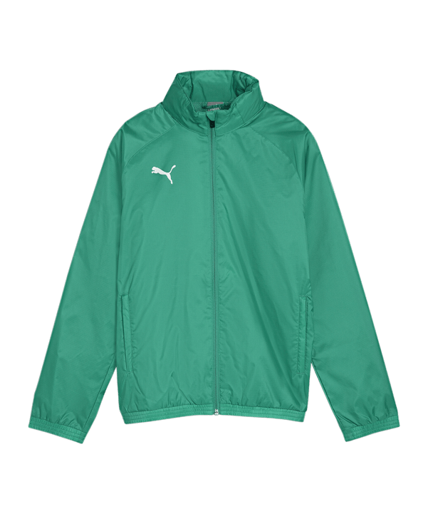 PUMA teamGOAL Allwetterjacke Kids Grün Weiss F05 - gruen