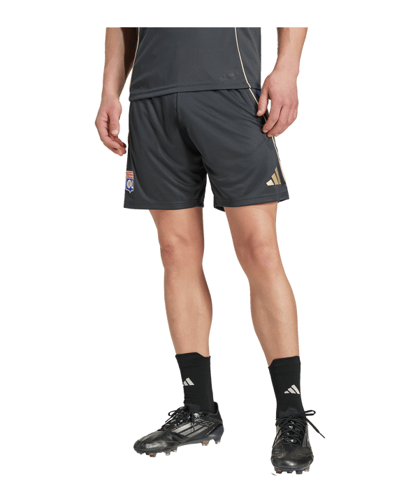 adidas Olympique Lyon Training Short Grau - grau