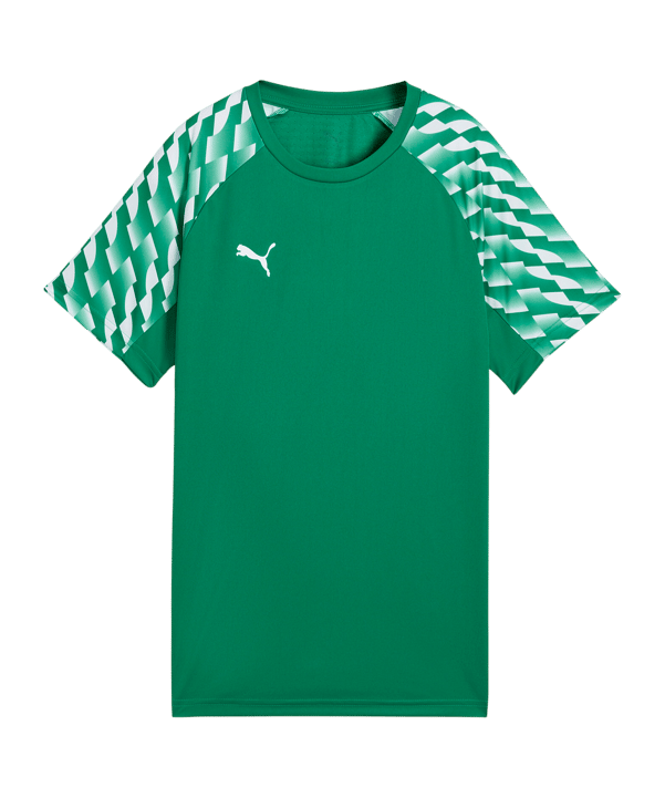 PUMA teamLIGA26 Trikot Kids Grün F05 