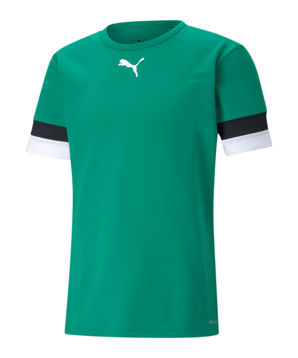 PUMA teamRISE Trikot Grün F05
