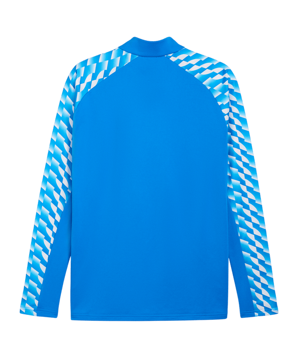 PUMA teamLIGA26 Training 1/4 Zip Top Blau F02 - blau