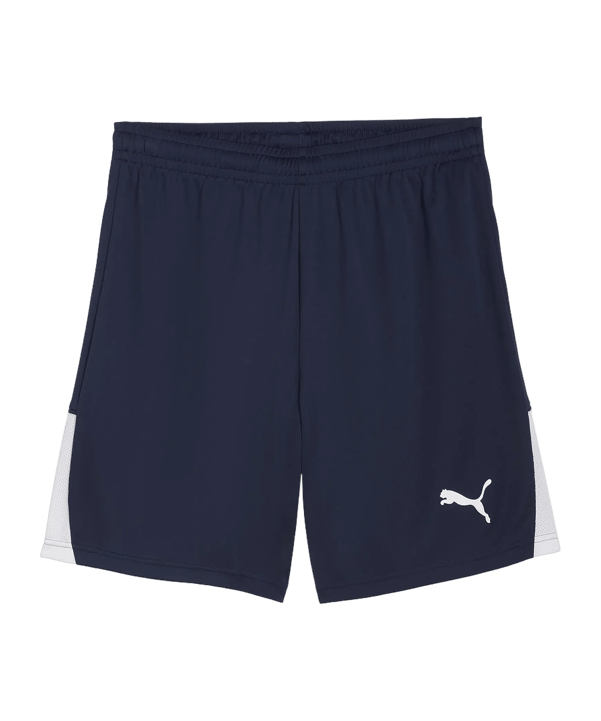 PUMA teamLIGA26 Short Blau F06 