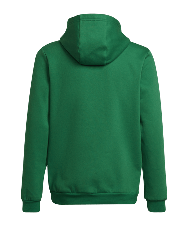 adidas Entrada 22 Hoody | Grün - gruen