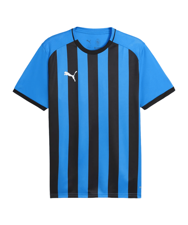 PUMA teamLIGA26 Striped Trikot Blau F12 
