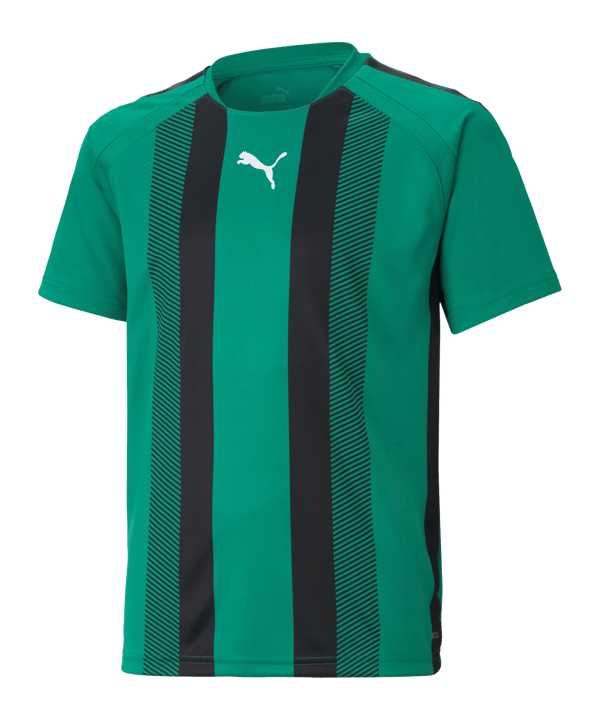 PUMA teamLIGA Striped Trikot Kids Grün Schwarz F05