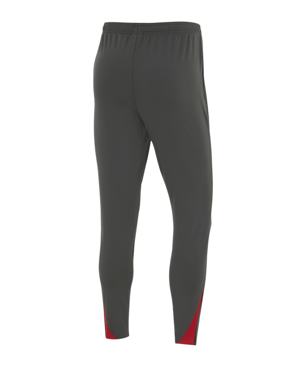 Nike Türkei Strike Trainingshose EM 2024 Grau - grau