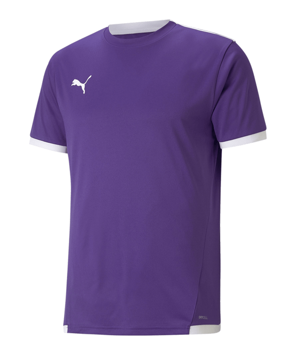 PUMA teamLIGA Trikot Lila F10