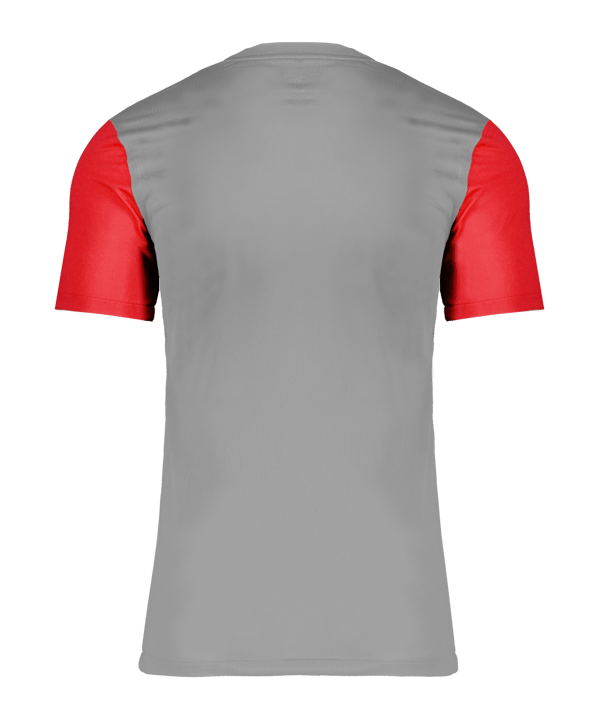 Nike Trophy V Trikot Grau F052 - grau