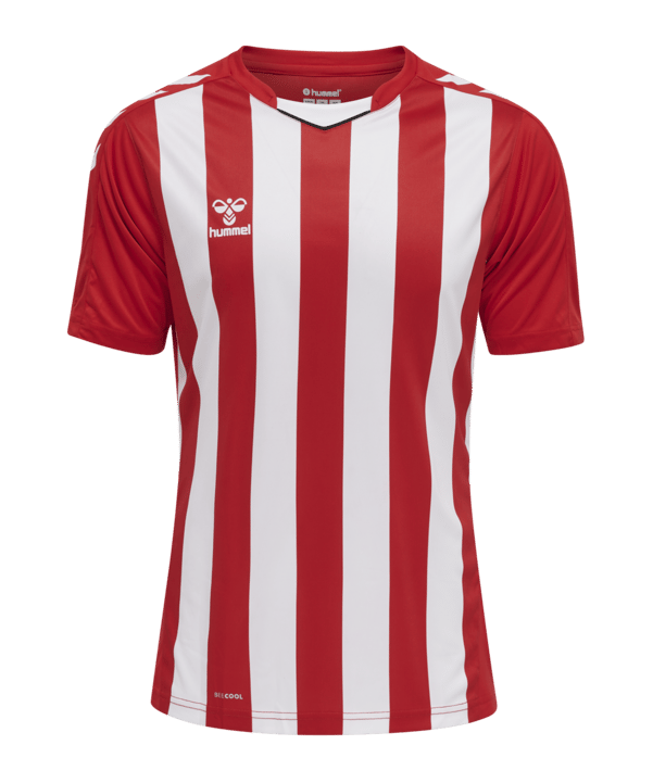 Hummel hmlCORE XK Striped Trikot Rot Weiss F3946