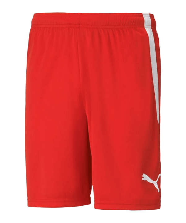 PUMA teamLiga Short Rot F01 