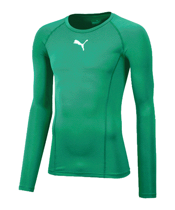 PUMA LIGA Baselayer Longsleeve Grün F05 - gruen