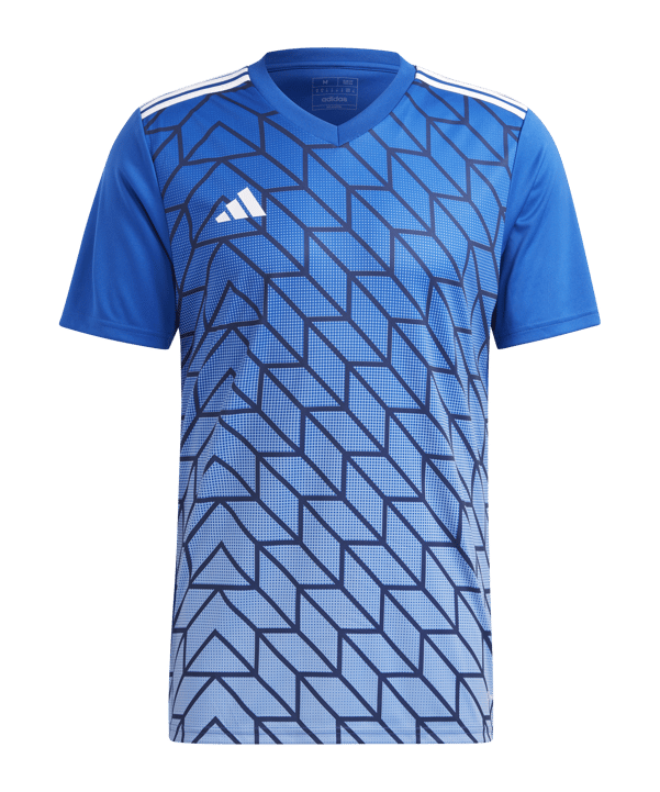 adidas Team Icon 23 Trikot | Blau - blau