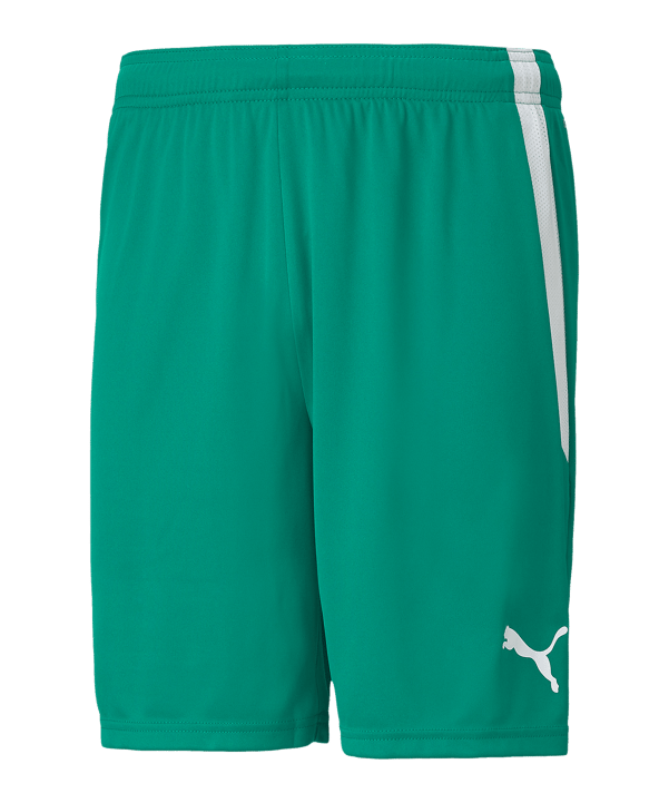 PUMA teamLIGA Short Grün Weiss F05