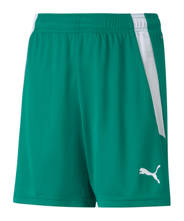 PUMA teamLIGA Short Kids Grün Weiss F05