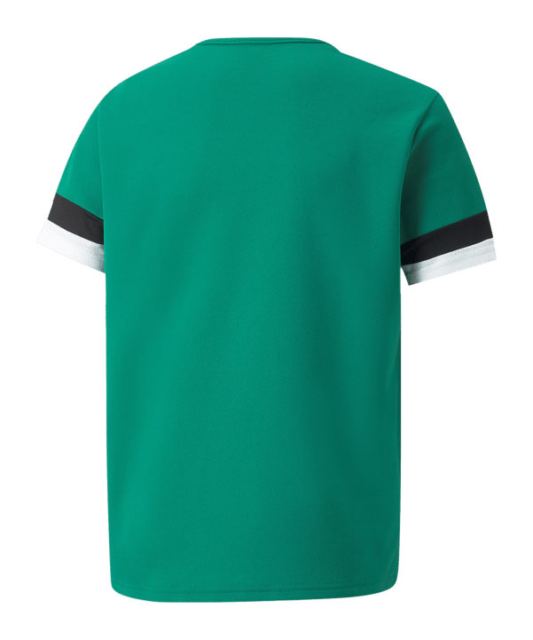 PUMA teamRISE Trikot Kids Grün F05 - gruen