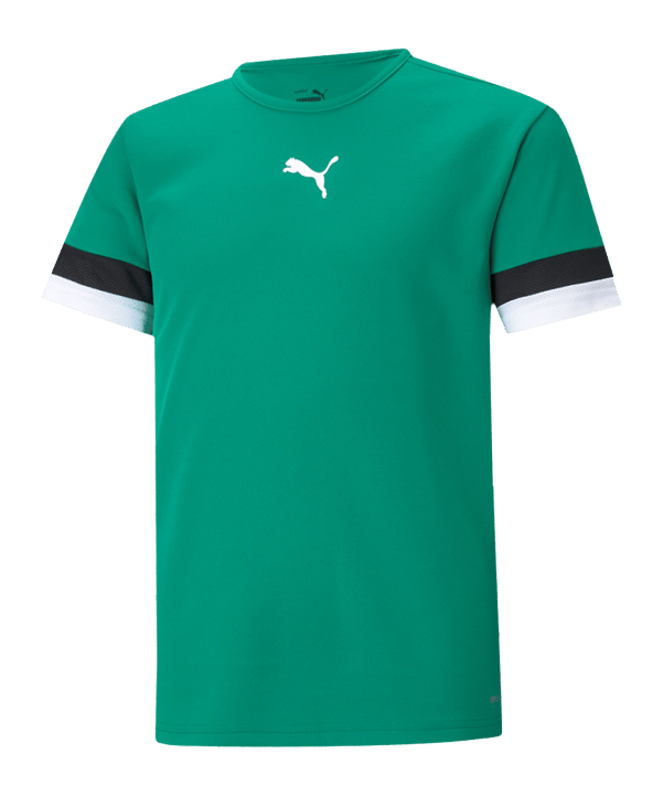 PUMA teamRISE Trikot Kids Grün F05