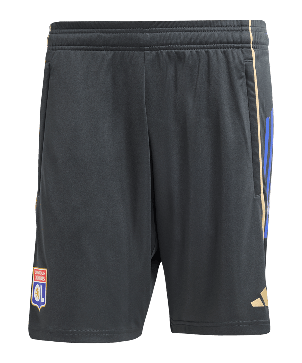 adidas Olympique Lyon Training Short Grau - grau