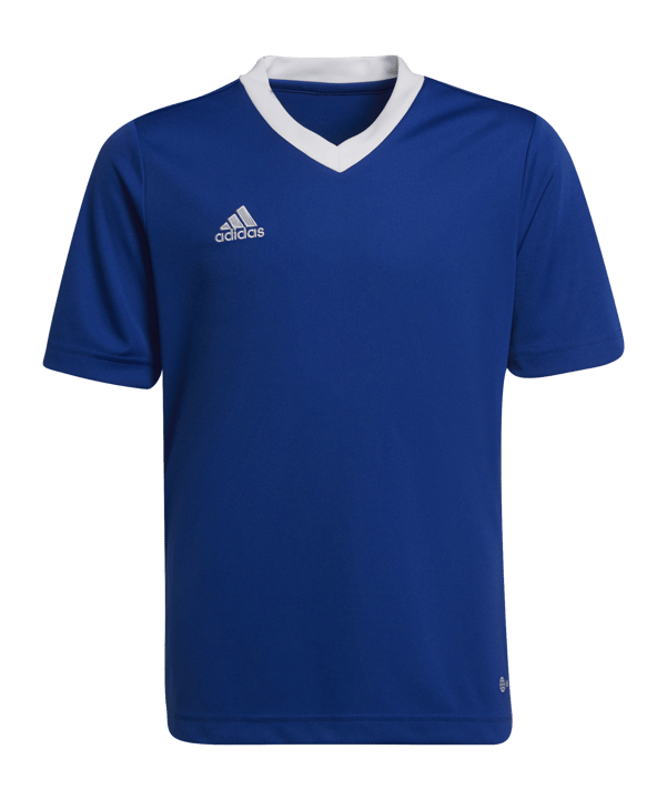 adidas Entrada 22 Trikot Kids Blau Weiss