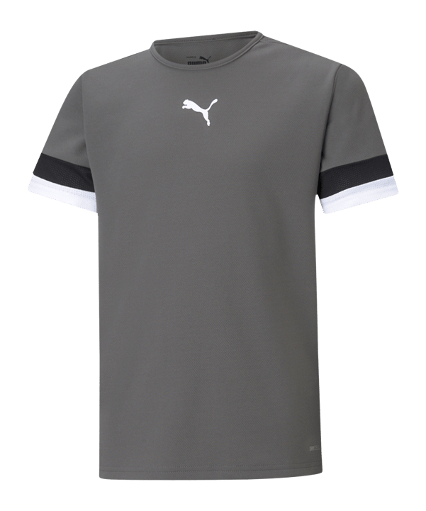 PUMA teamRISE Trikot Kids Grau F13