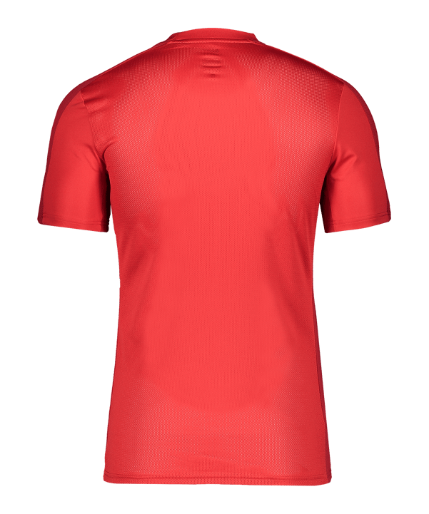 Nike Academy Trainingsshirt Rot F657 - rot