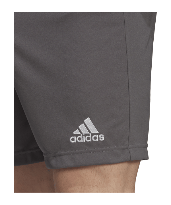 adidas Entrada 22 Short | Grau - grau